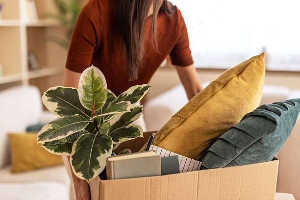 Asesoramiento especializado